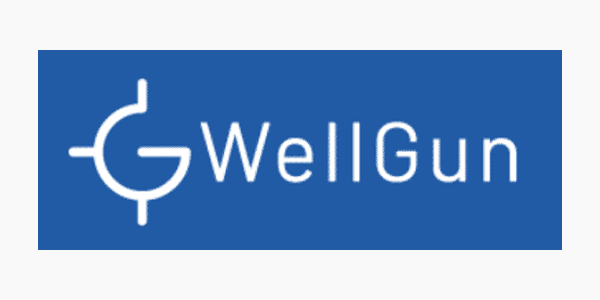 Logo Wellgun