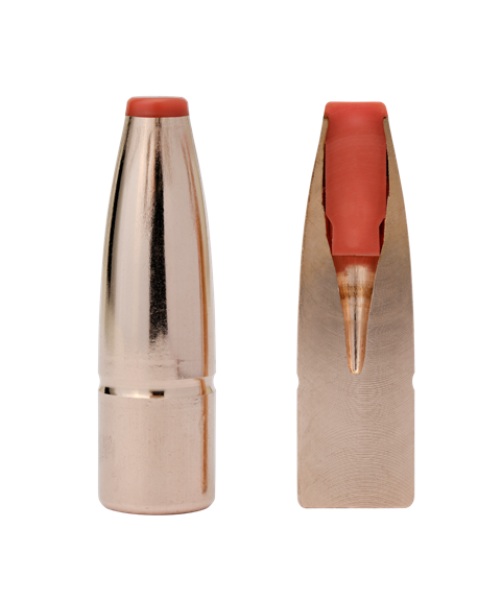 Hornady .308 .30" 165Grain ECX