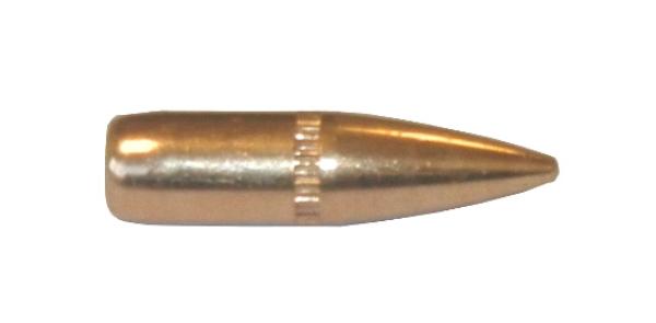 CAM PRO FMJ .22 .224" 62Grain FMJ BT