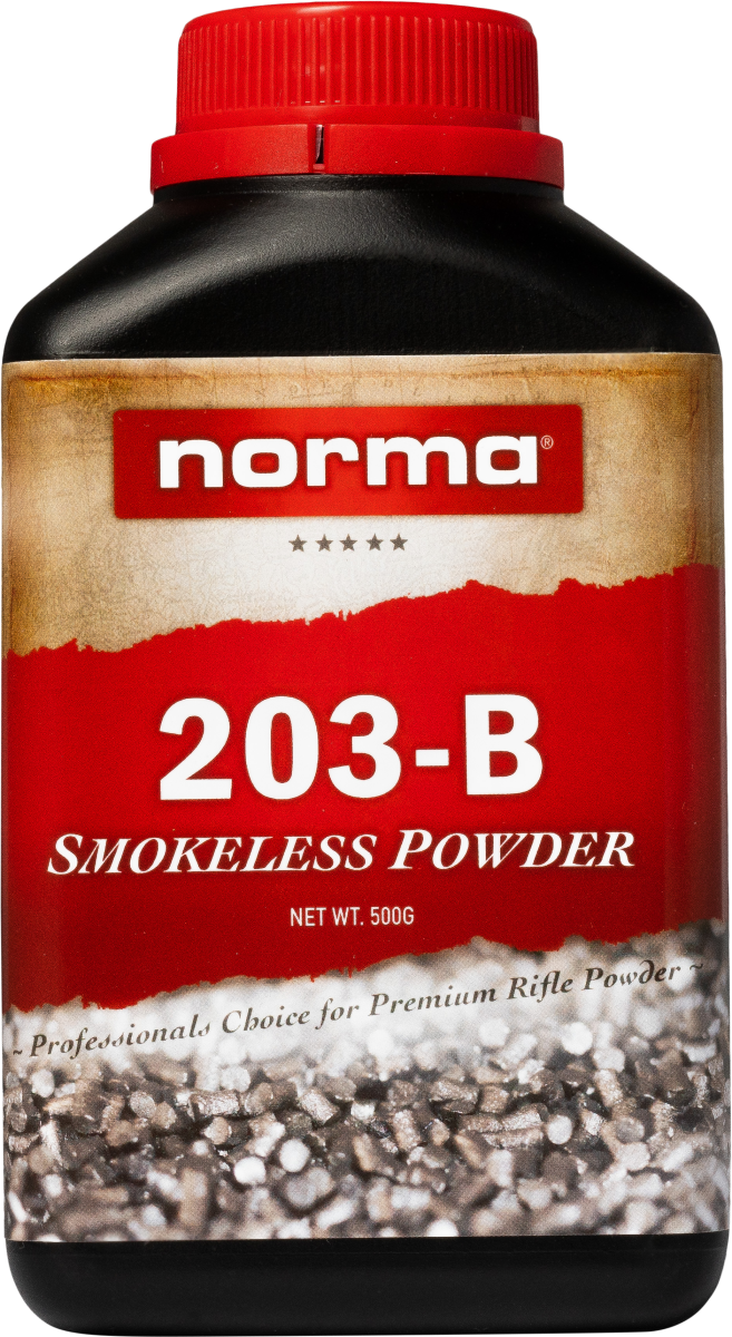 Norma 203-B