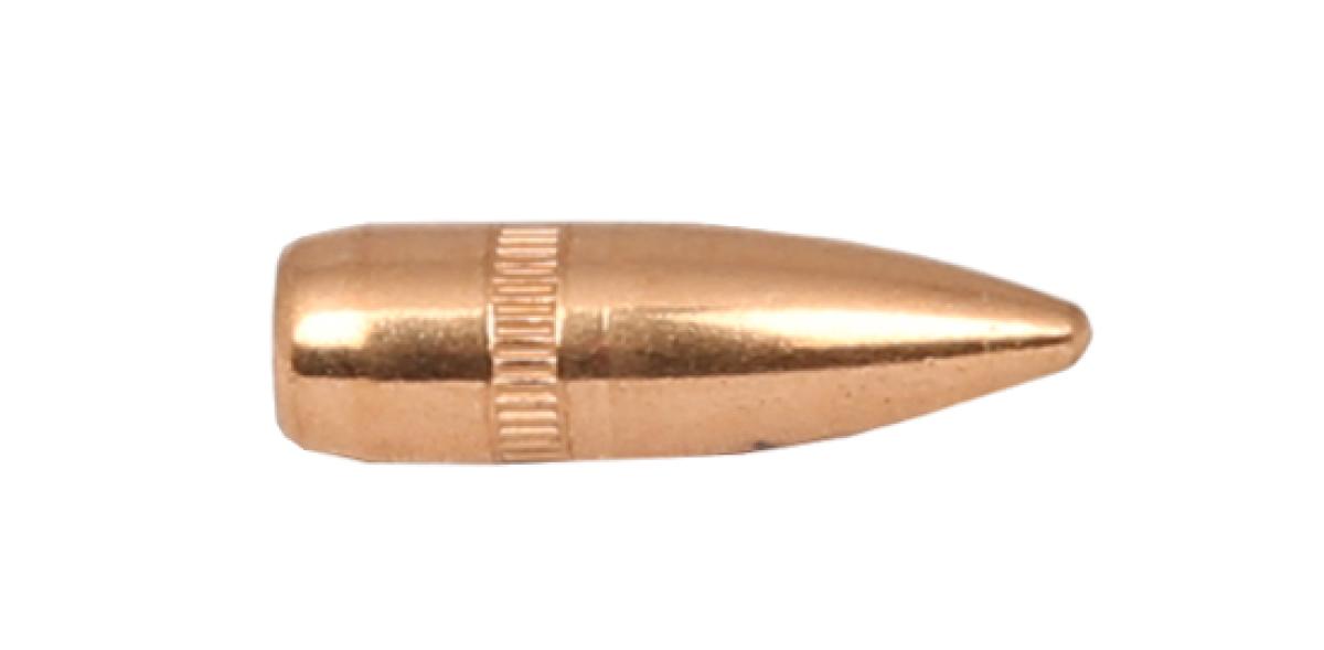 CAM PRO FMJ .22 .224" 55Grain FMJ BT