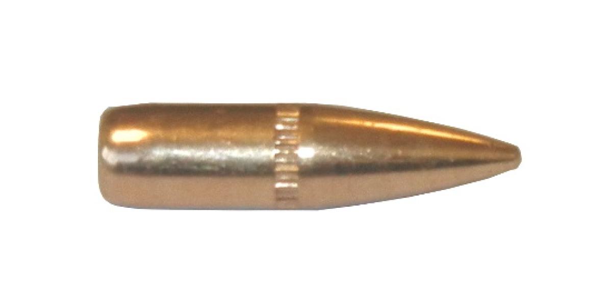 CAM PRO FMJ .22 .224" 62Grain FMJ BT