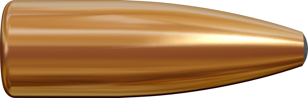 Lapua .22 .224" 55 Grain SP E539