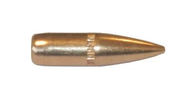 CAM PRO FMJ .22 .224" 62Grain FMJ BT